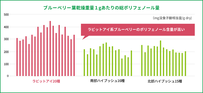 ブルーベリー葉乾燥重量1gあたりの総ポリフェノール量