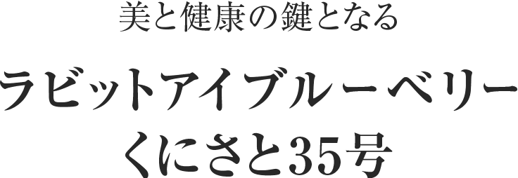 美と健康の鍵となる ラビットアイブルーベリーくにさと35号